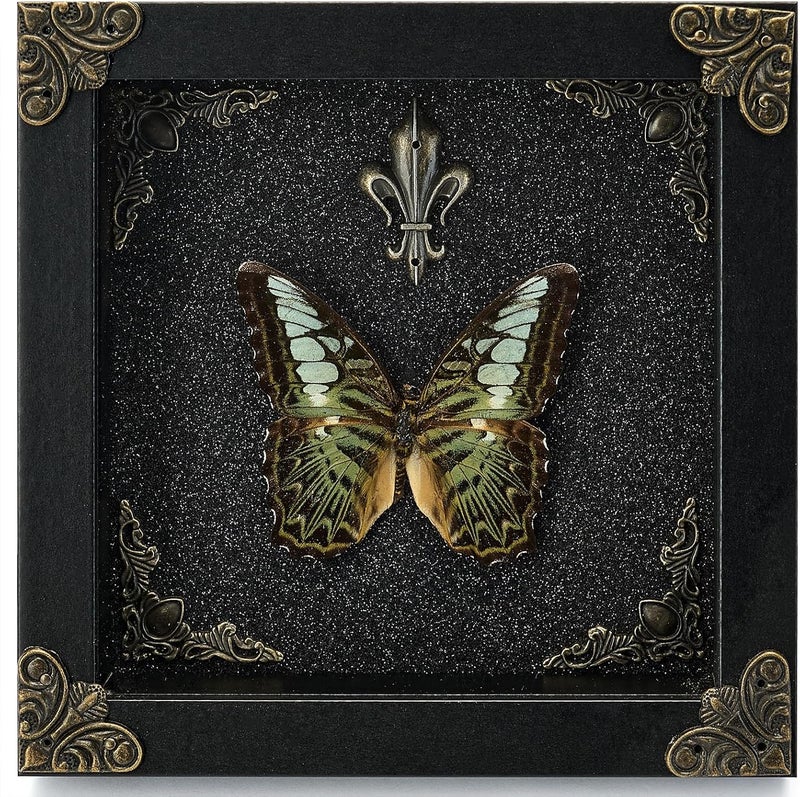 GDBEH Real Butterfly Framed Handmade - Taxidermy Butterfly Shadow Box - Real Framed Butterflies in a Box for Gothic Home Decor Aesthetic. (Green Beautiful Butterfly) - Image 1